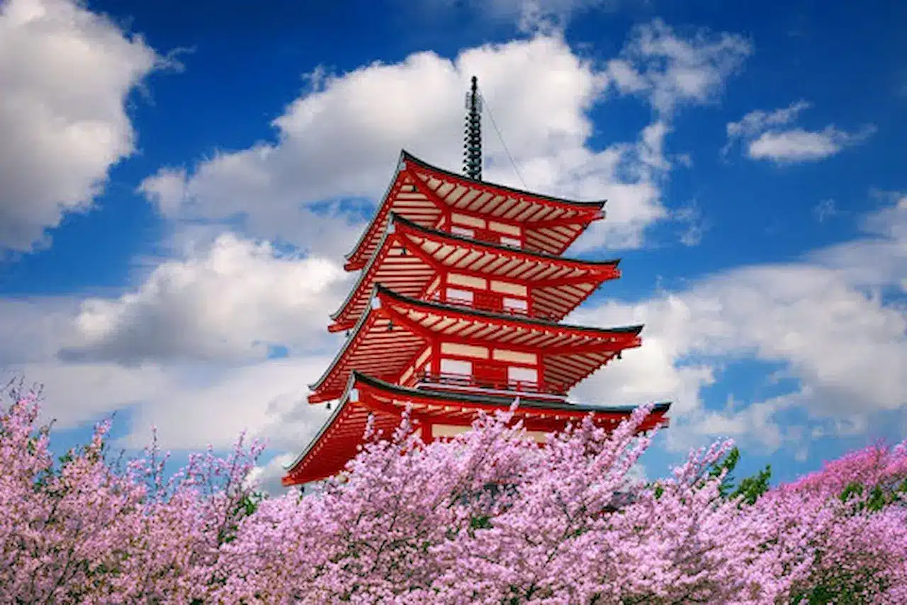 academic conference in Tokyo International conference in Japan Tokyo academic conference 2026